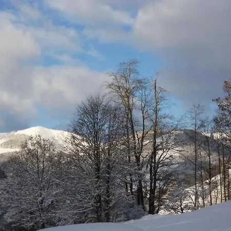 In By Lift & Slopes شاليه سالباخ هينترغليم