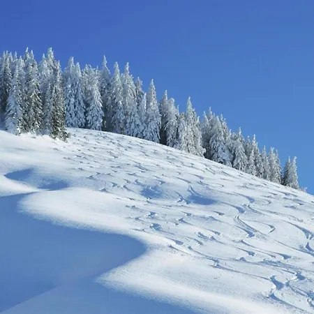 In By Lift & Slopes شاليه سالباخ هينترغليم