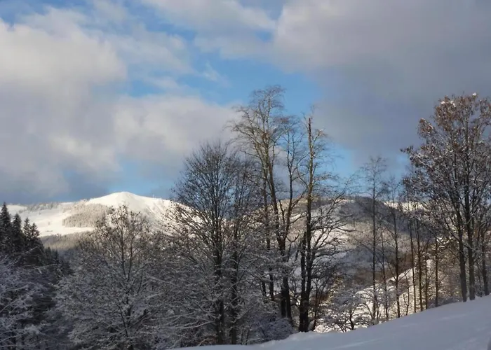 In By Lift & Slopes Chalet Saalbach-Hinterglemm