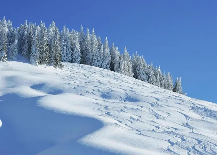In By Lift & Slopes Chalet Saalbach-Hinterglemm