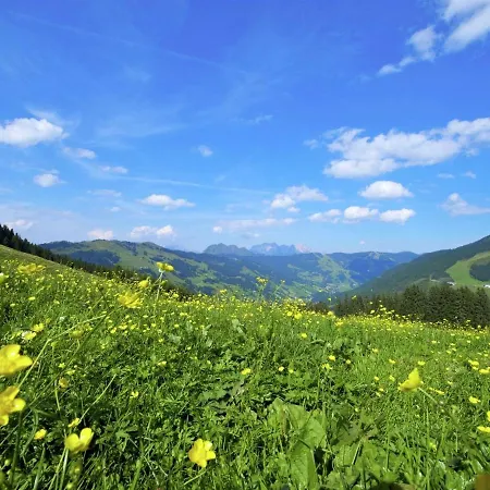 Chalet In Saalbach By Ski Lift & Slopes * Saalbach-Hinterglemm