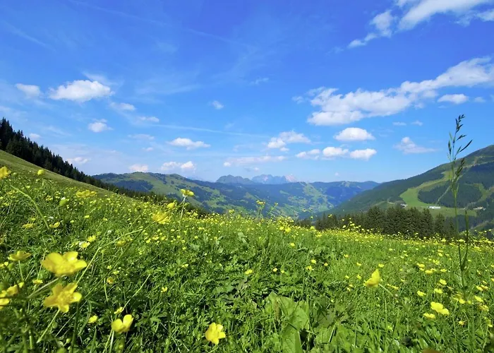 In By Lift & Slopes * ザールバッハ・ヒンターグレム